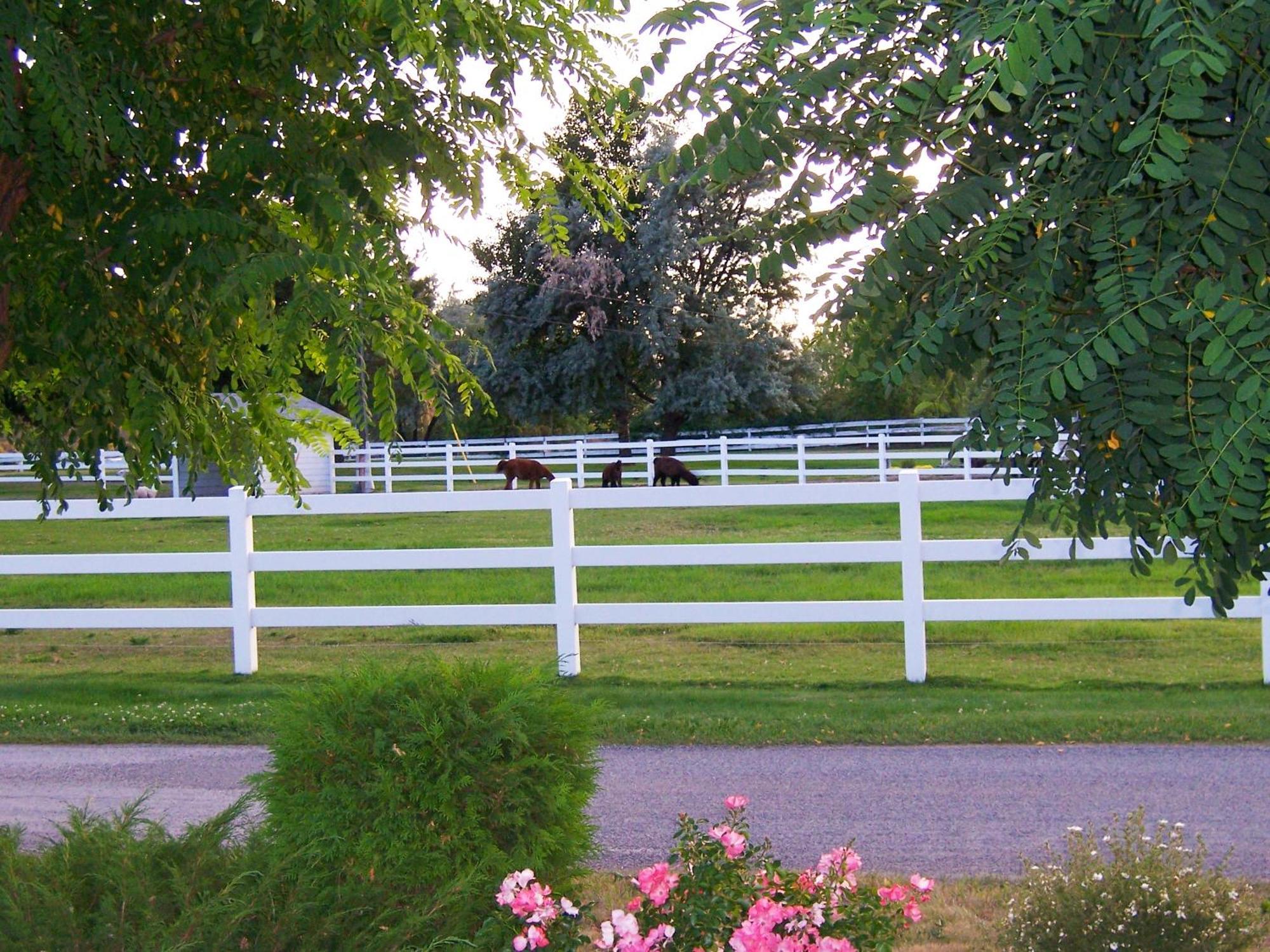 South Thompson Inn & Conference Centre Kamloops Bagian luar foto
